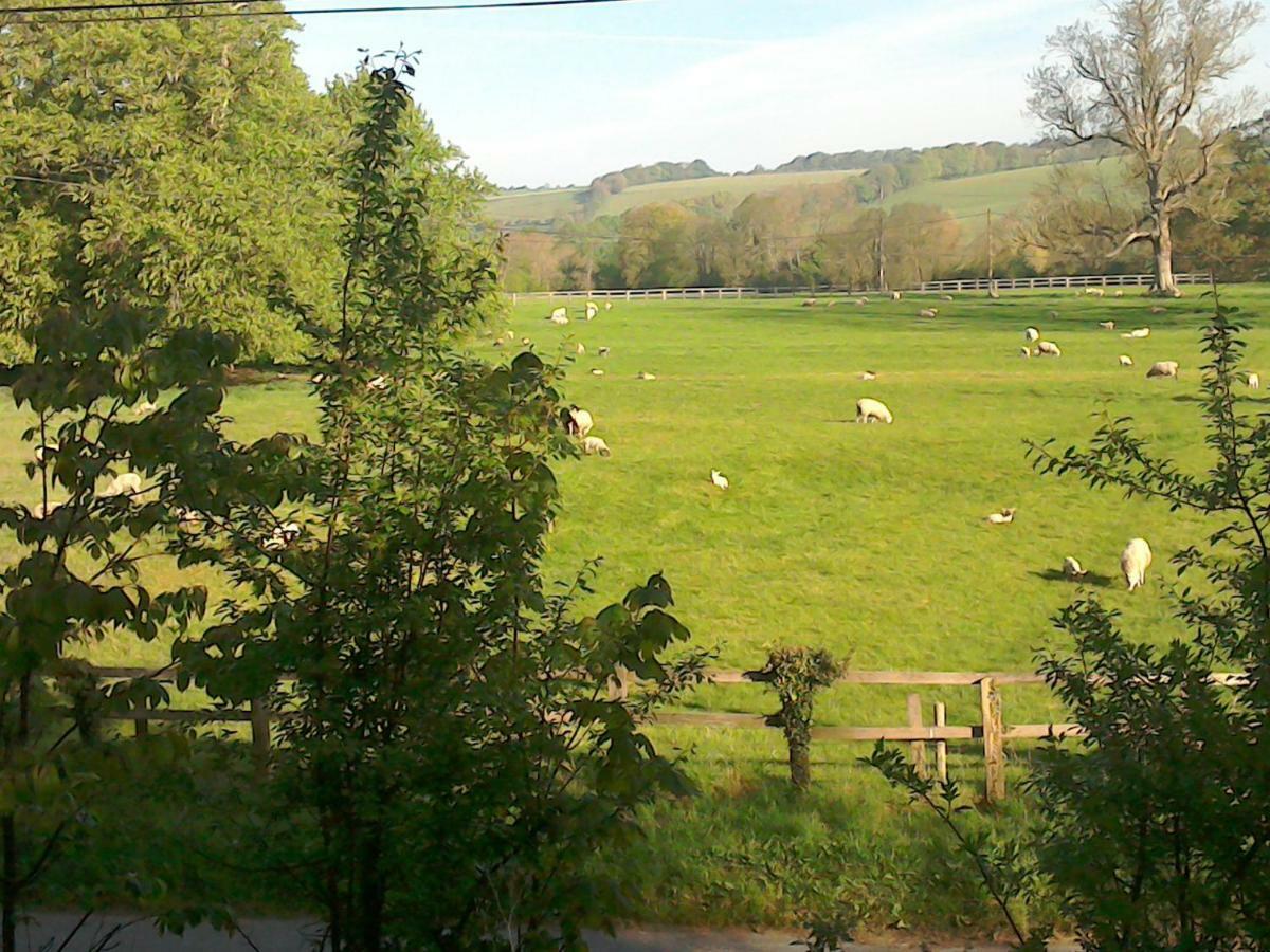 The Crown Inn Alvediston Екстериор снимка