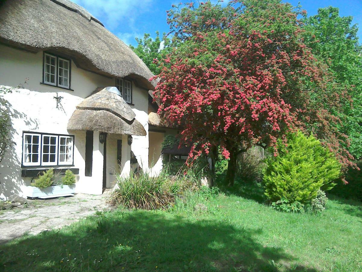 The Crown Inn Alvediston Екстериор снимка