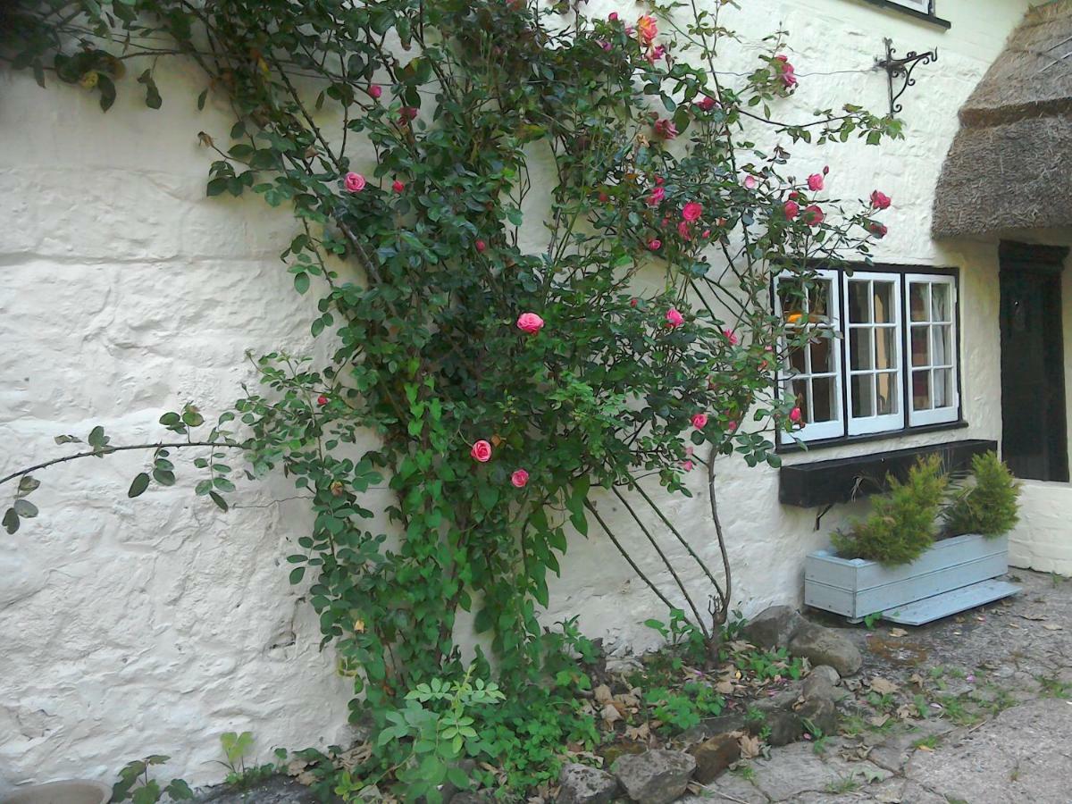 The Crown Inn Alvediston Екстериор снимка