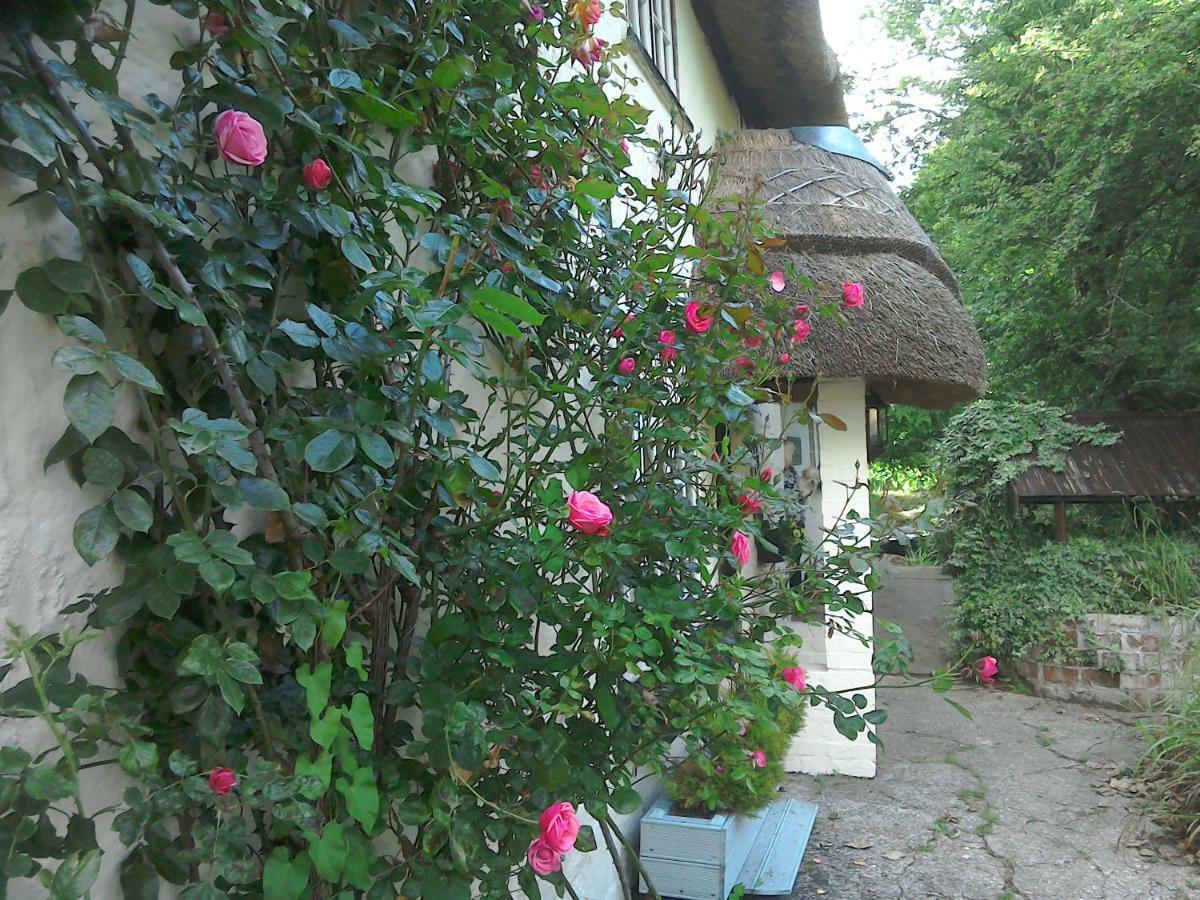 The Crown Inn Alvediston Екстериор снимка