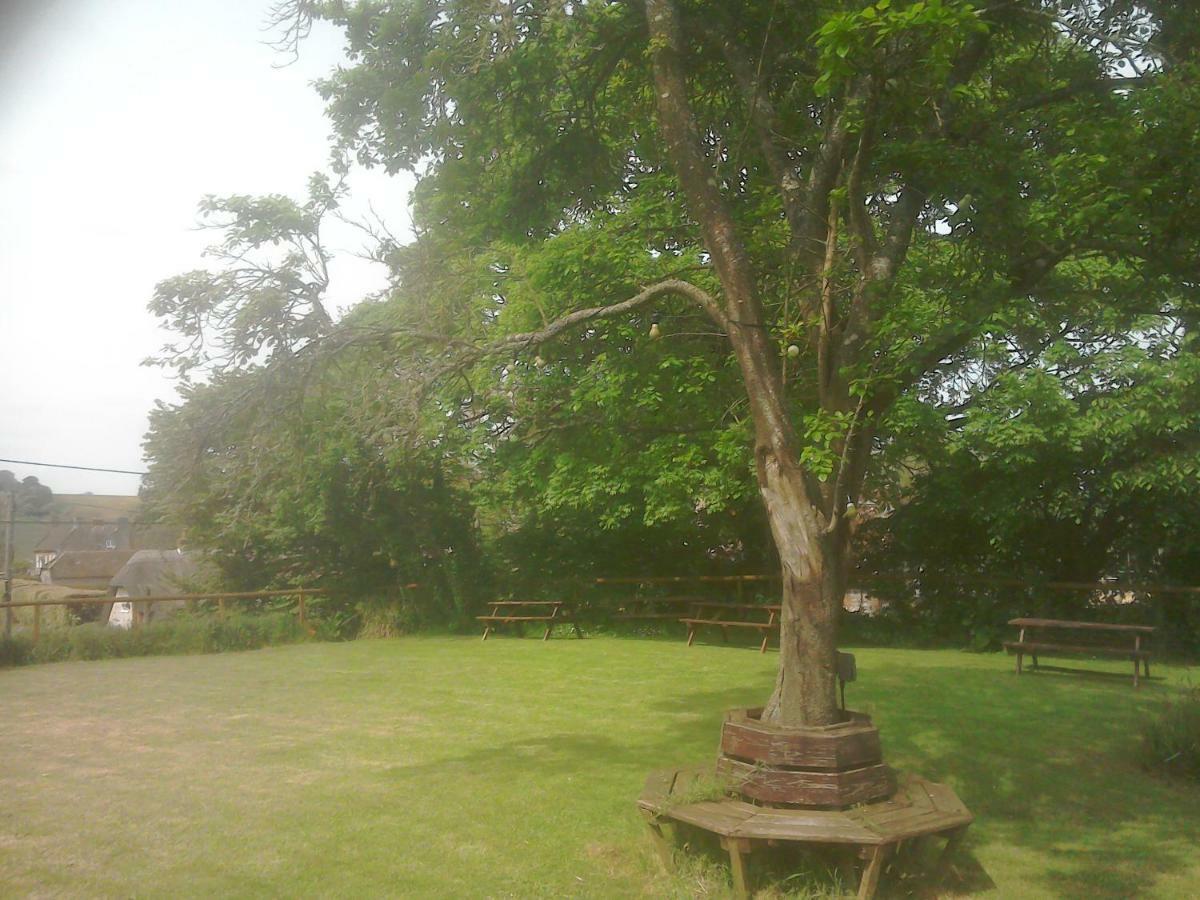 The Crown Inn Alvediston Екстериор снимка