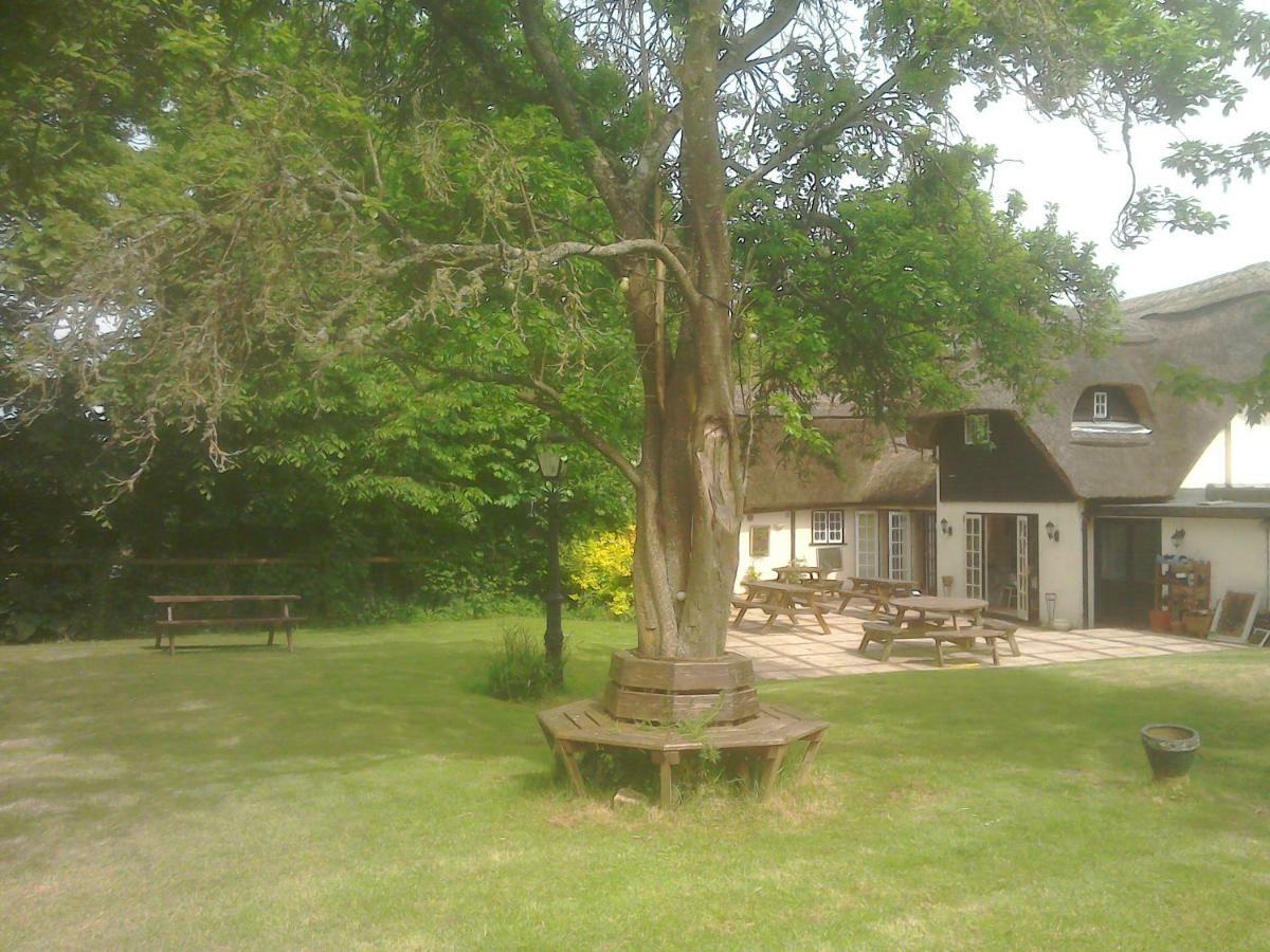 The Crown Inn Alvediston Екстериор снимка
